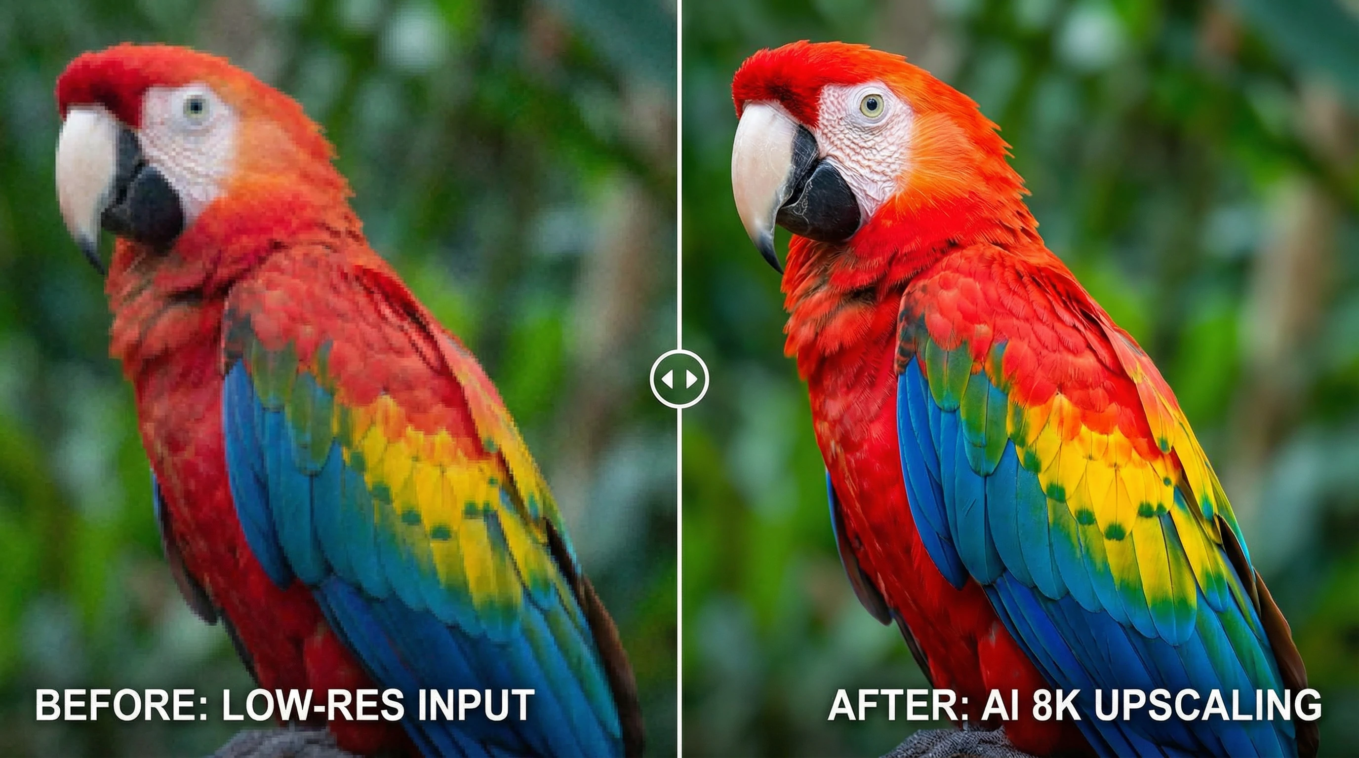 AI Upscaling & Enhancement