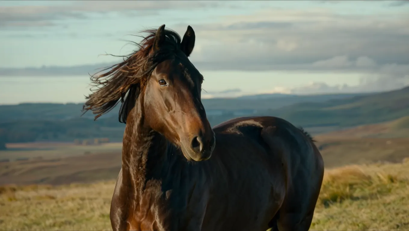 Kling Image v3 Image to Image