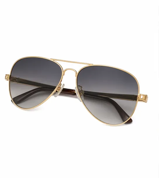 Input — Sunglasses