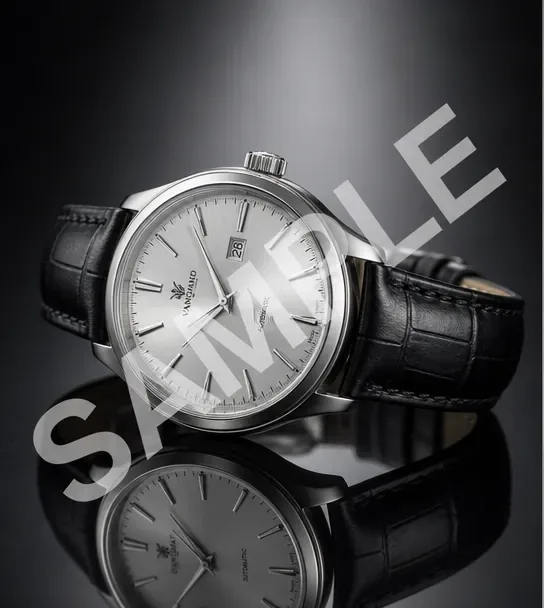 Input — Watches